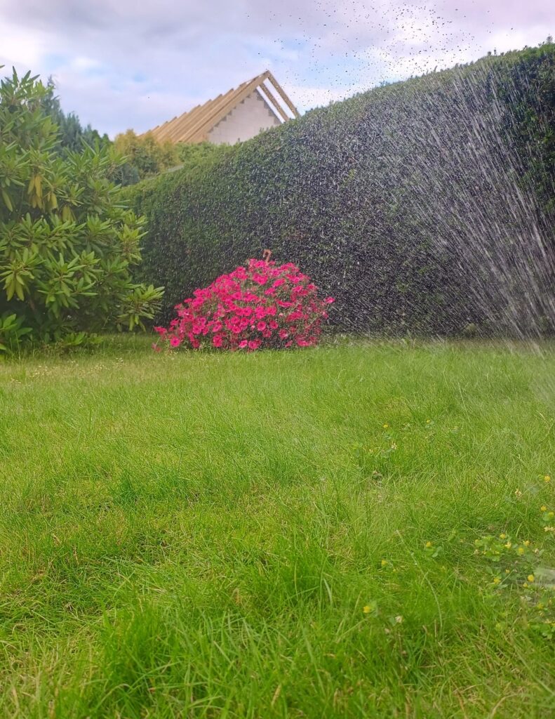 nawodnienie trawników